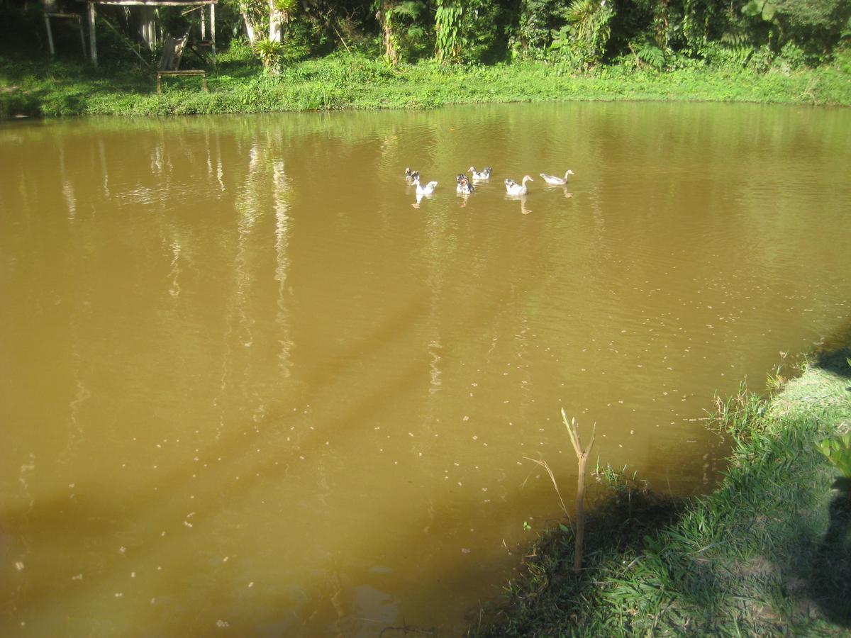 Pousada Recanto Dos Pinheiros Pilar do Sul 외부 사진