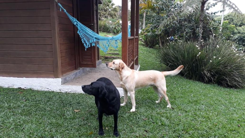 Pousada Recanto Dos Pinheiros Pilar do Sul 외부 사진